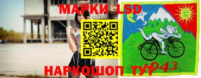 винт Обнинск