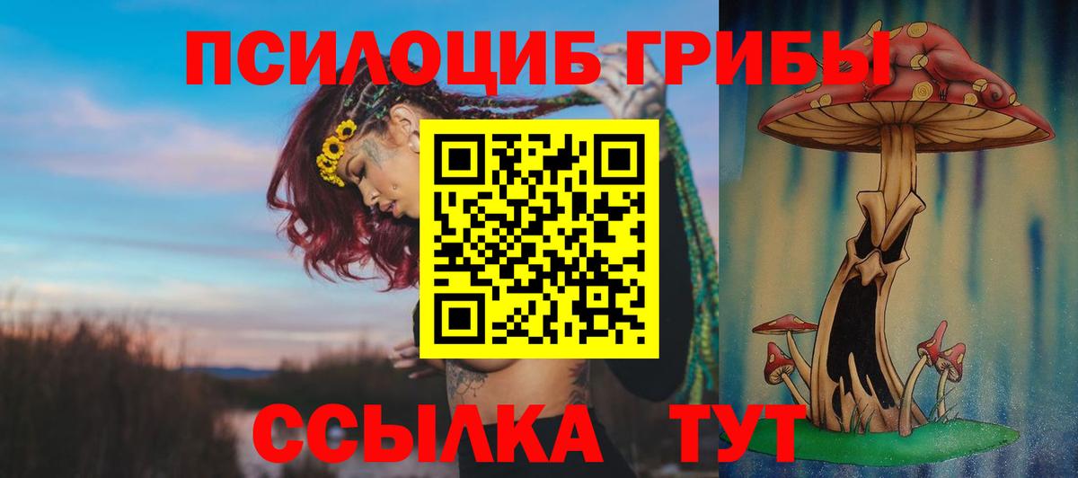 Галлюциногенные грибы прущие грибы  Галлюциногенные грибы Psilocybine cubensis  Тобольск  Вход с VPN 