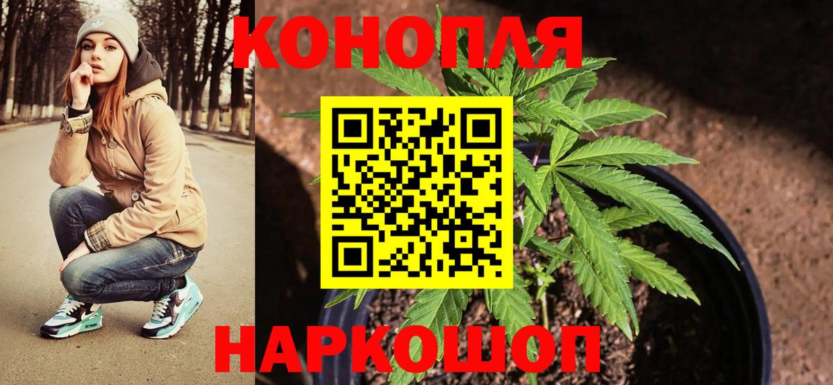 МАРИХУАНА планчик  Вход с VPN  Тобольск  Бошки марихуана Amnesia  Шишки марихуана SATIVA & INDICA 